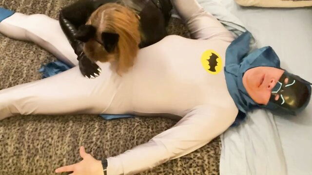 grannies, blowjob, hardcore - catwoman grannie batmans rod kiss