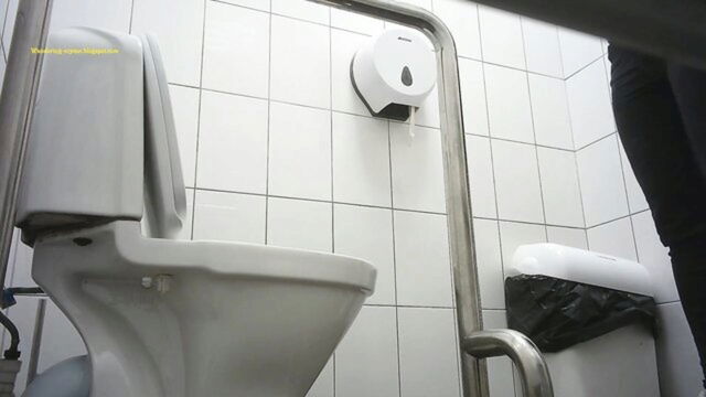 piss, wandering voyeur, toilet - public spy cam action