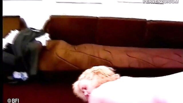 anal, perverzo, bimbo - bimbo spitroast chessie moore