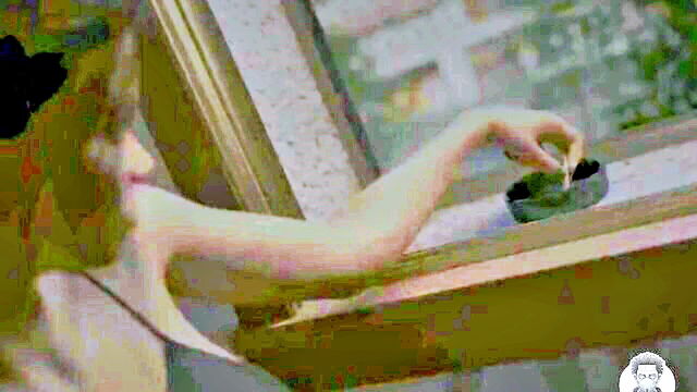 misterdoktor - eruptive gameplay with misterdoktor