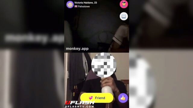 flash compilation, compilation, monkey app - monkey app vid