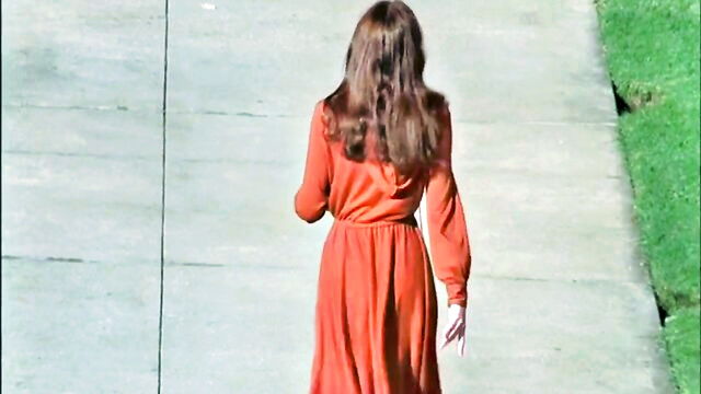 annette haven - hairy pussy porn with three xxx