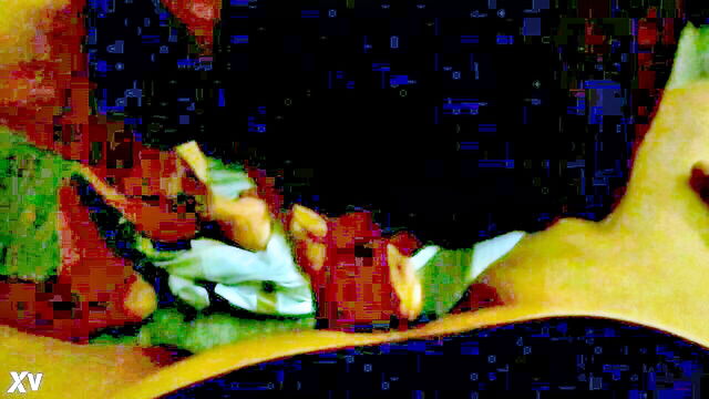 transsexuals, mexican, can do - mexican tranny doxy