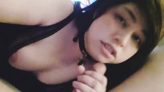 shemale sissy, shemale ass, shemale cock - str8 boxer sissy gullet