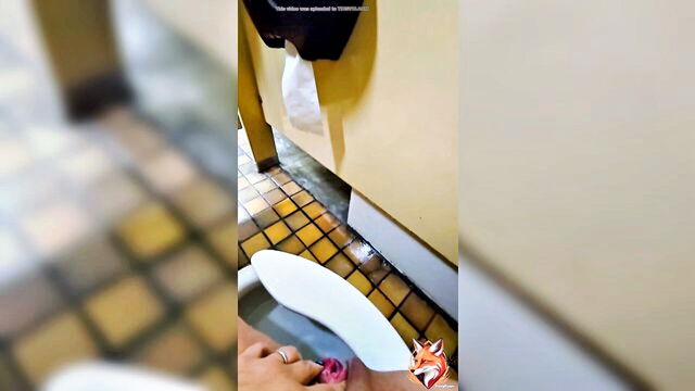 public, pissing, piss - bathroom stall public sex