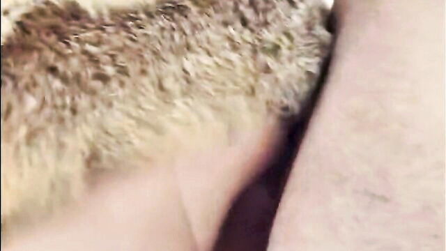 closeup anal destruction xxx