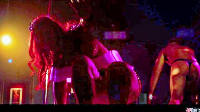 king noires wild control : Digital Playground