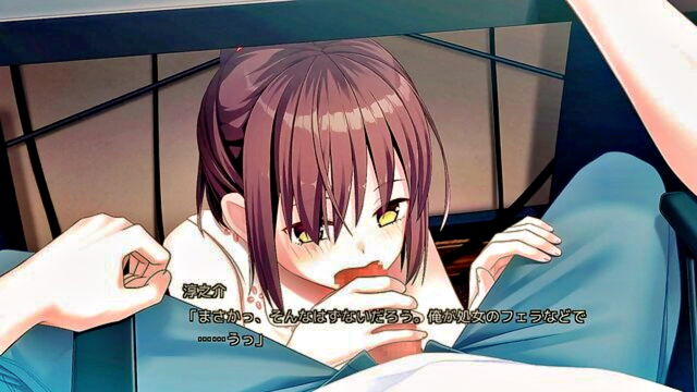 eroge, visual novel - eroge visual novel nukitaoshi2