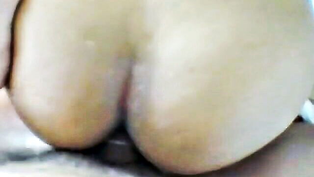 may2 from thailand a busty beauty explores wild sexual desires : borer_darrel