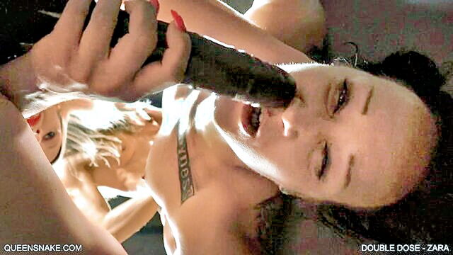 zara, holly, double - double dose of hardcore pleasure two babes one intense session